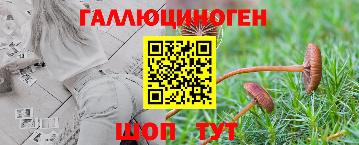 Псилоцибиновые грибы мицелий  Вход с VPN  Валуйки 